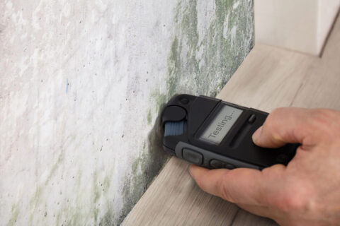 Damp Proofing Services in Windsor