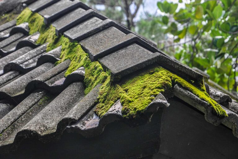 Remove Moss from Roof in Pangbourne